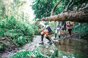 BIB: 
                            <button type="button" onclick="openModal(25477667)" class="btn btn-primary btn-sm float-right btn-popup" data-toggle="modal" data-target=".modal-high-quality">
                        <i class="fas fa-shopping-cart"></i> Add to Cart
                    </button>
                                            <button type="button" onclick="isThisMe(25477667, true)" class="btn btn-success btn-sm float-right btn-popup btn-isme hidden" data-toggle="tooltip" data-placement="bottom" title="นี่คือรูปของคุณใช่ไหม คลิกที่นี่เพื่อเอาเข้าอัลบั้ม">
                        <i class="fas fa-plus"></i> Add to album
                    </button>
                    <button type="button" onclick="isThisMe(25477667, false)" class="btn btn-warning btn-sm float-right btn-popup btn-isnotme hidden">
                        <i class="fas fa-ban"></i> Remove from album
                    </button>